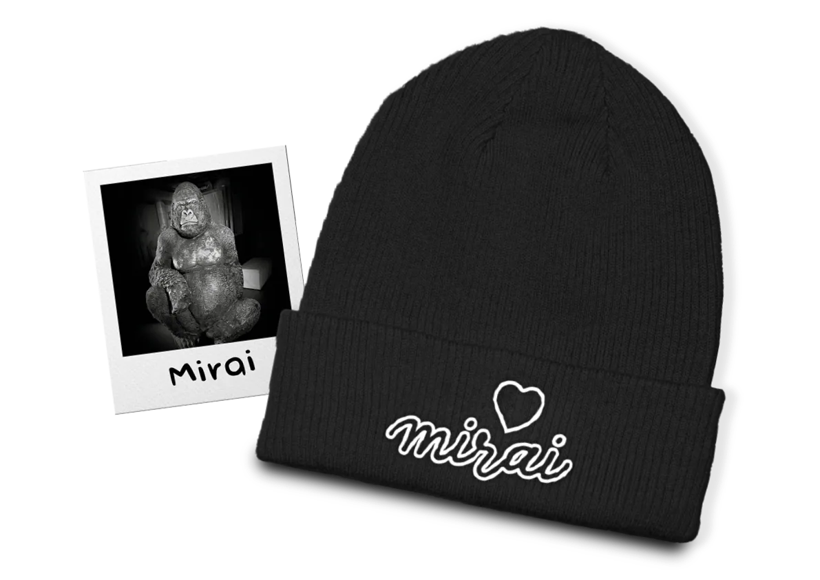 Abbildung: Polaroid-Foto von Mirai (die Gorilla-Statue im Eingangsbereich) und die Beanie-Mütze.